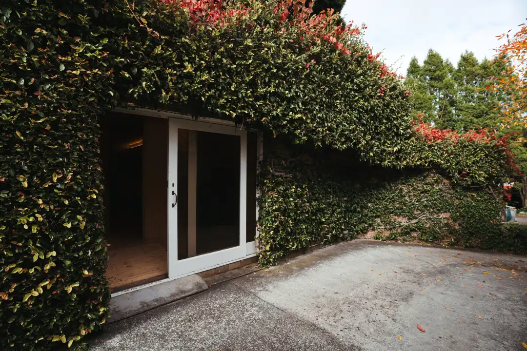 Home Wine Cellar